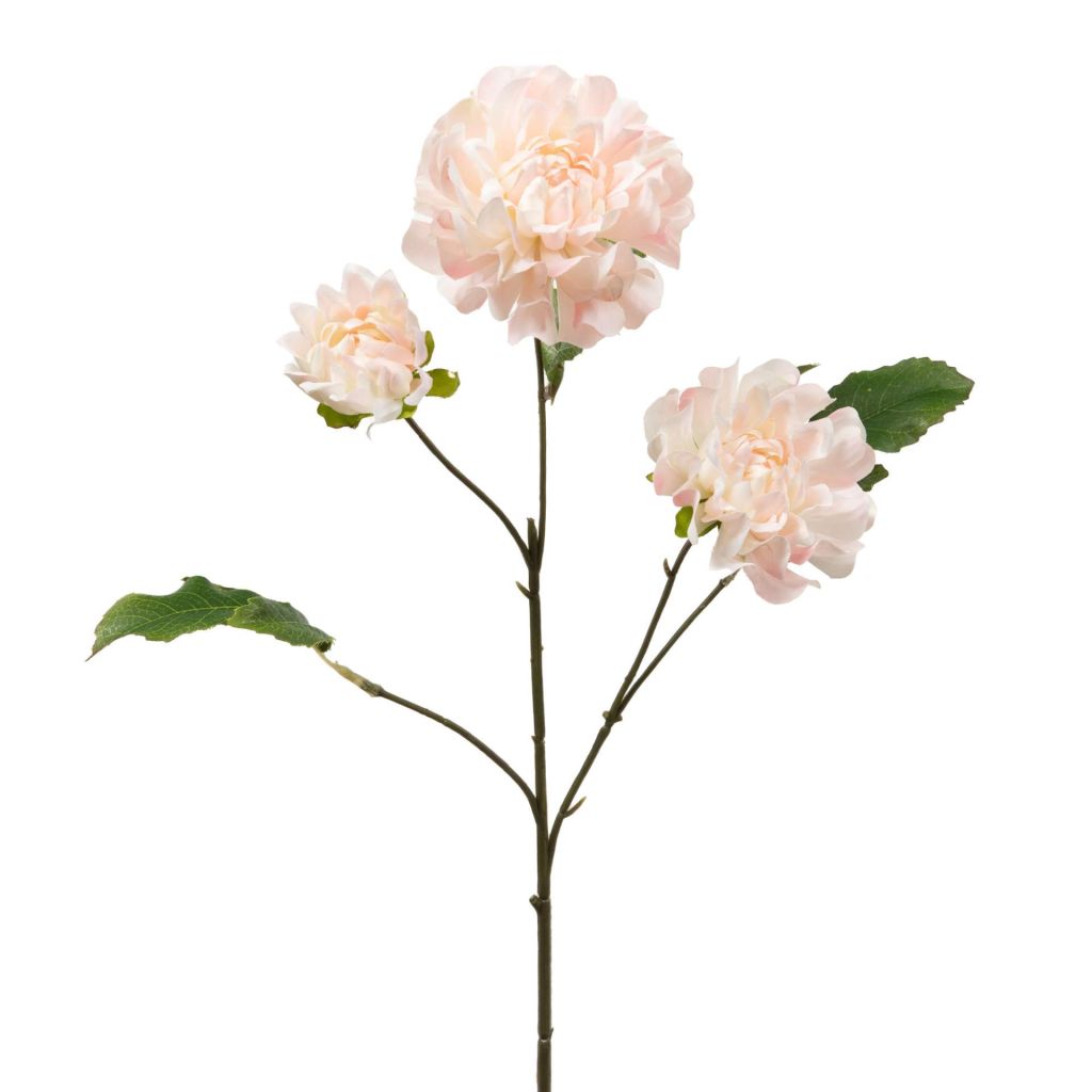 BRANCHE DE DAHLIA LINDA ROSE PALE 64 CM - Photo N°1