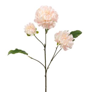 BRANCHE DE DAHLIA LINDA ROSE PALE 64 CM