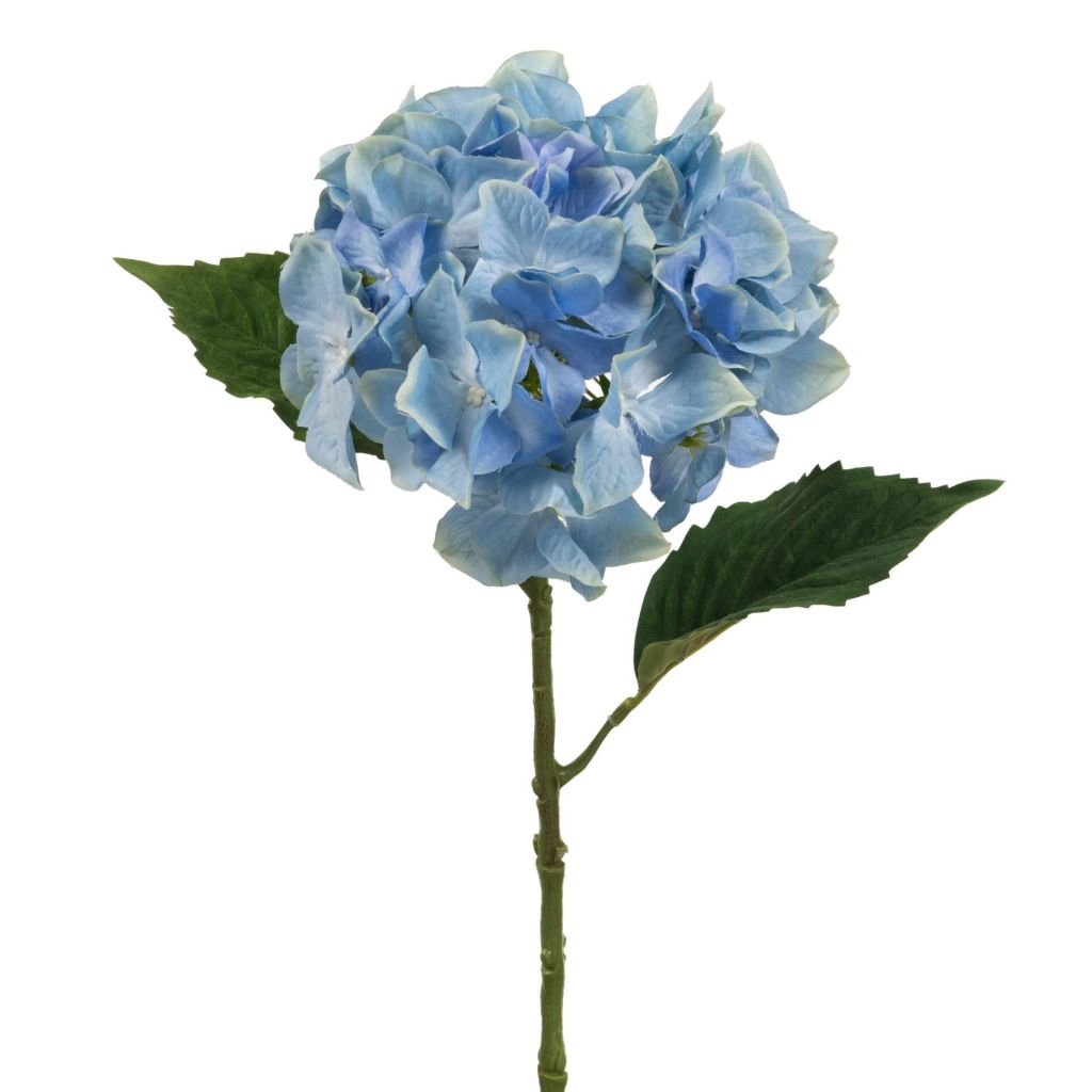 HORTENSIA ADRIA BLEU 55 CM - Photo N°1