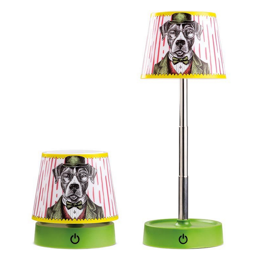 LAMPE NOMADE CHIEN HUMAN ESSENCE 11 CM - Photo N°7