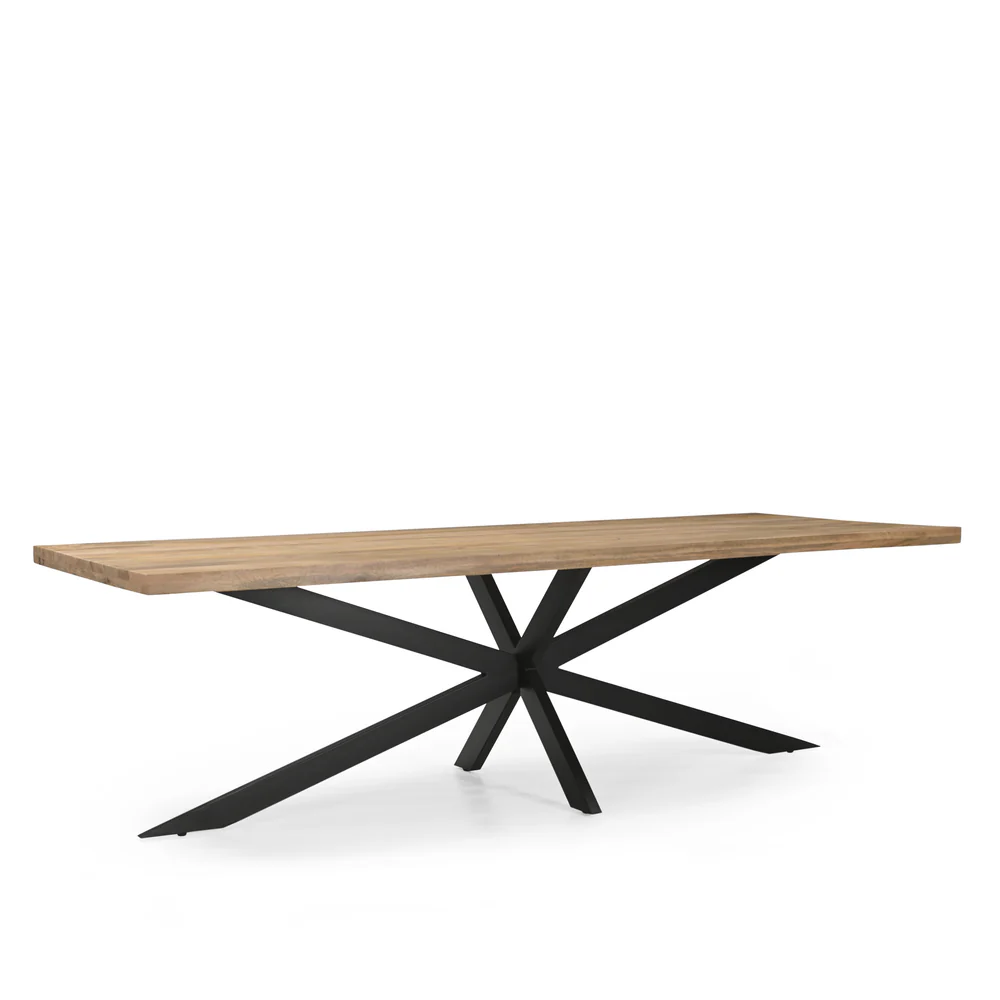 TABLE REPAS BOIS MANGUIER MASSIF-PIED METAL NOIR  300 X 76 X 100 CM - Photo N°2