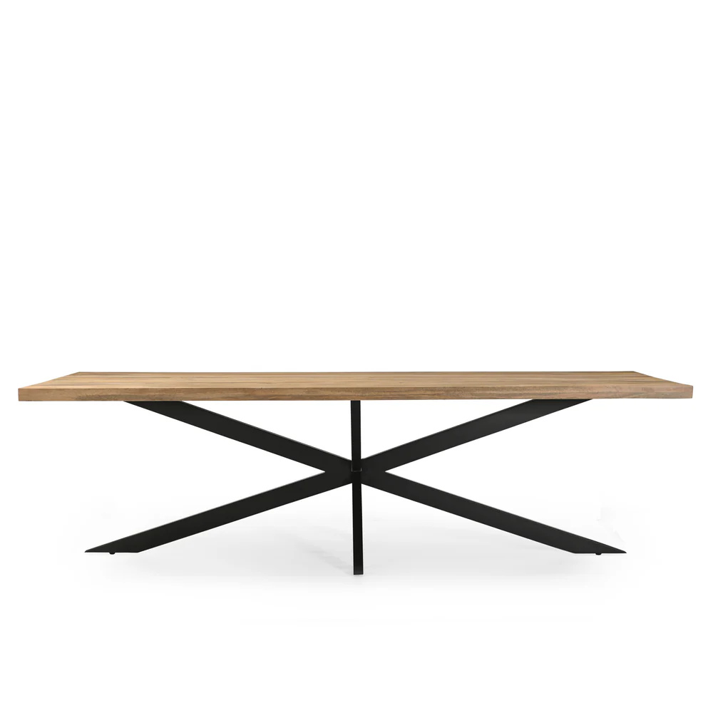 TABLE REPAS BOIS MANGUIER MASSIF-PIED METAL NOIR  300 X 76 X 100 CM - Photo N°6